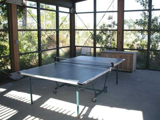 Table Tennis Anyone?